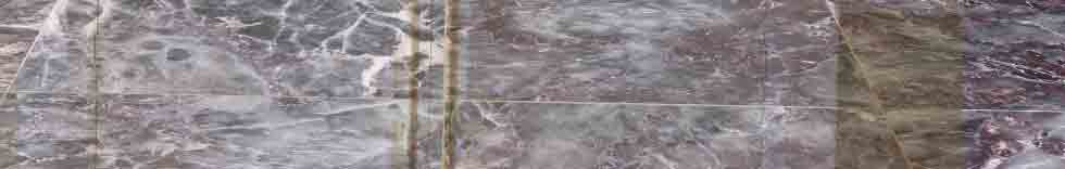 supren-salome-header